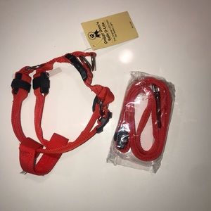 💡 LED Dog Leash and Harness Set Red